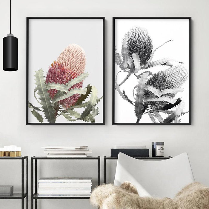 Blushing Banksia Flower - Art Print, Wall Art, Ozark Home 