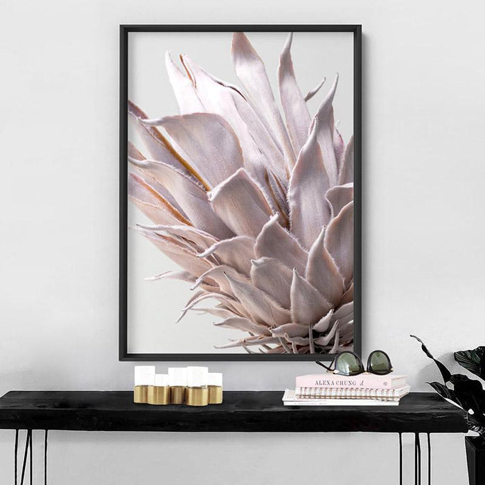 King Protea Close up in Blush - Art Print, Wall Art, Ozark Home 