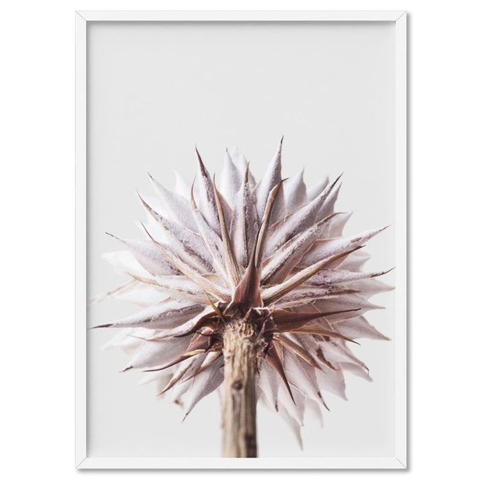 King Protea From Behind in Blush - Art Print, Wall Art, Ozark Home 