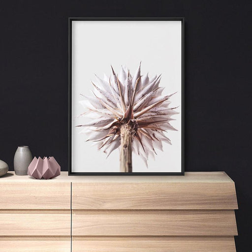 King Protea From Behind in Blush - Art Print, Wall Art, Ozark Home 