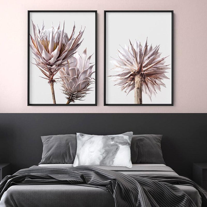 King Protea From Behind in Blush - Art Print, Wall Art, Ozark Home 