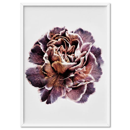 Floral Pose, Close up detail of Flower - Art Print, Wall Art, Ozark Home 