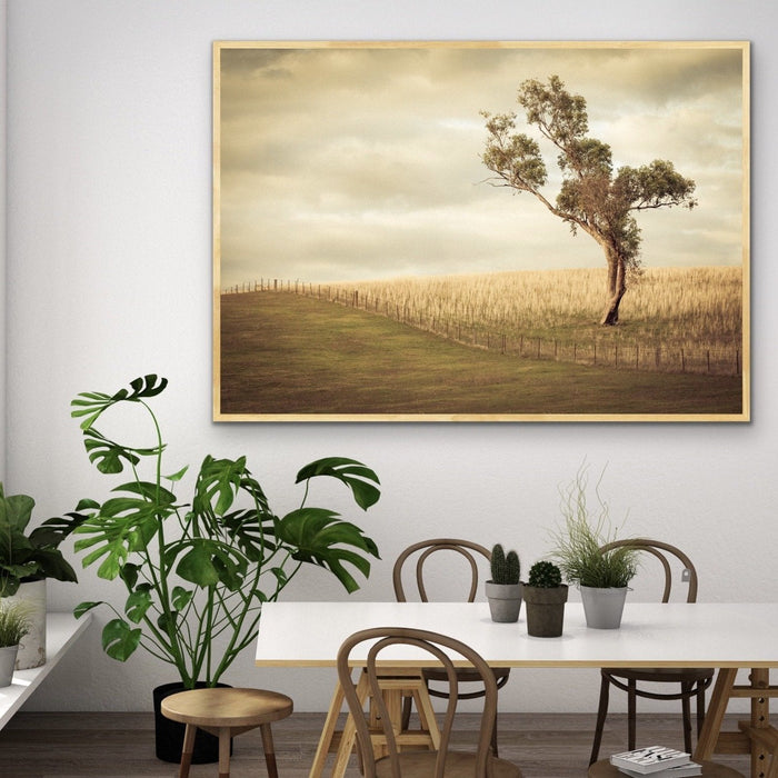 Paddock- Australian Countryside Gundagai Bush Yellow Farm Landscape Art Print