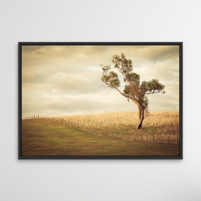 Paddock- Australian Countryside Gundagai Bush Yellow Farm Landscape Art Print