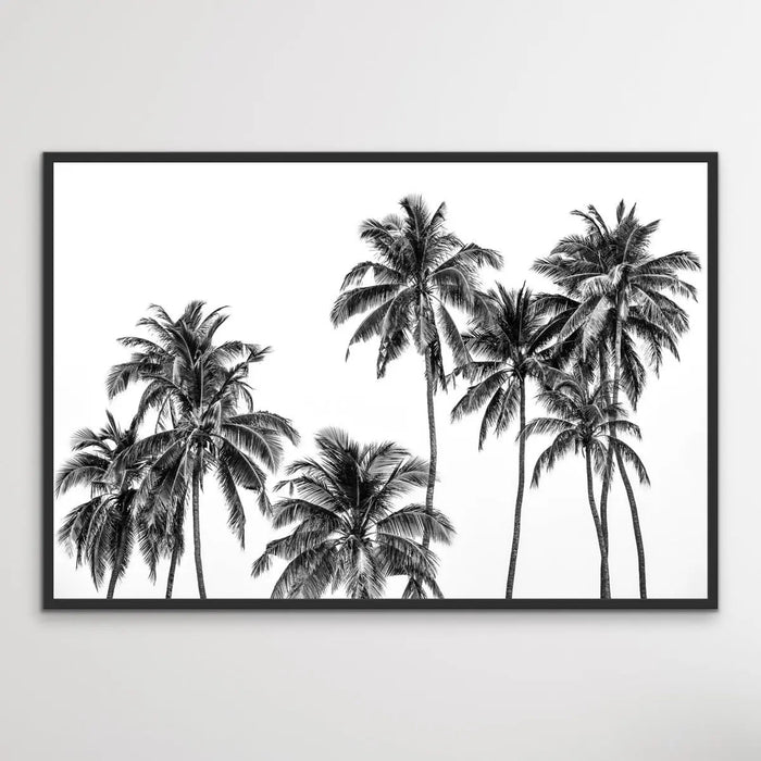 Palm Silhouette - Black and Pastel Palm Tree Photographic Print