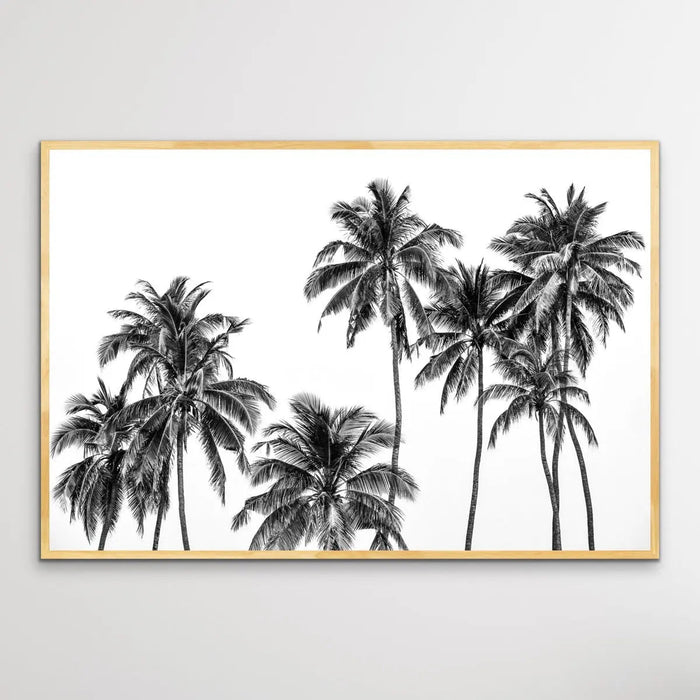 Palm Silhouette - Black and Pastel Palm Tree Photographic Print