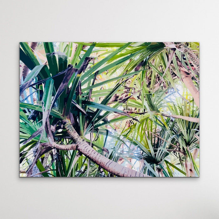 Pandanus - Sunshine Coast Canvas or Art Print