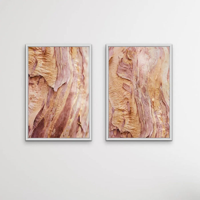 Paperbark - Two Piece Paperbark Tree Australian Nature Print Set, Wall Art, Ozark Home 