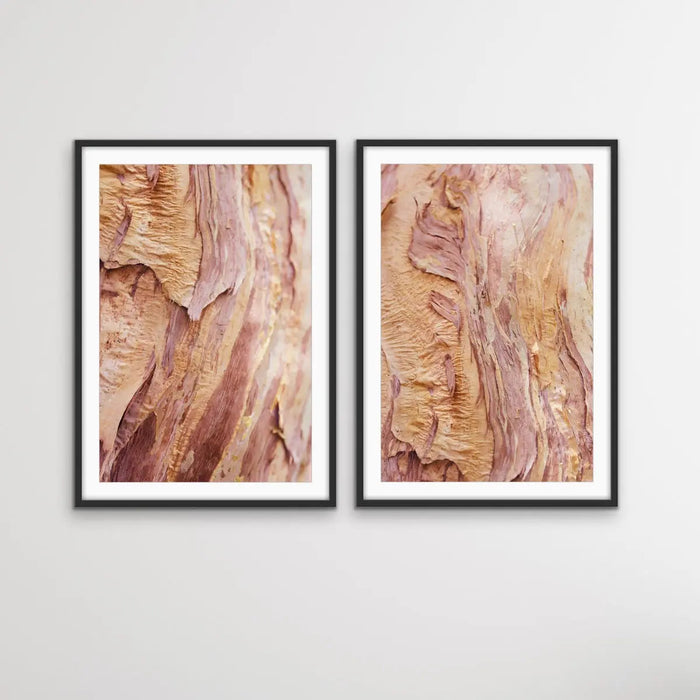 Paperbark - Two Piece Paperbark Tree Australian Nature Print Set, Wall Art, Ozark Home 