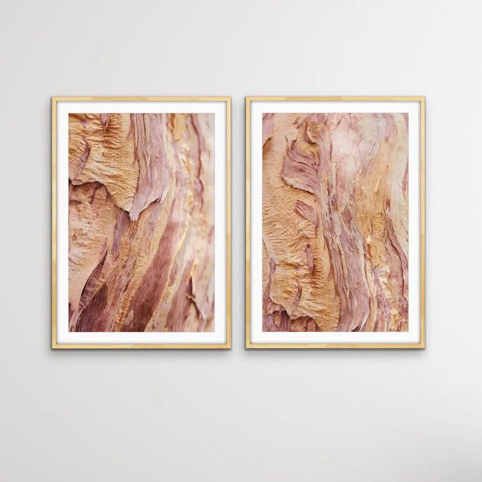 Paperbark - Two Piece Paperbark Tree Australian Nature Print Set, Wall Art, Ozark Home 