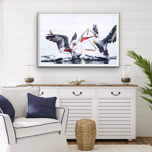 Pelican Squabble - Hamptons Framed Canvas Print Wall Art Print, Wall Art, Ozark Home 