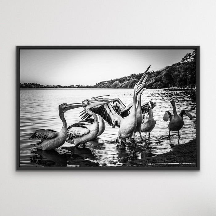 Pelicans On The Beach - Black and White Coastal Landscape Framed Canvas Print Wall Art Print, Wall Art, Ozark Home 