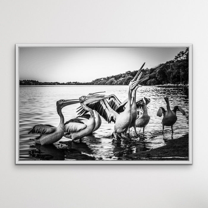 Pelicans On The Beach - Black and White Coastal Landscape Framed Canvas Print Wall Art Print, Wall Art, Ozark Home 