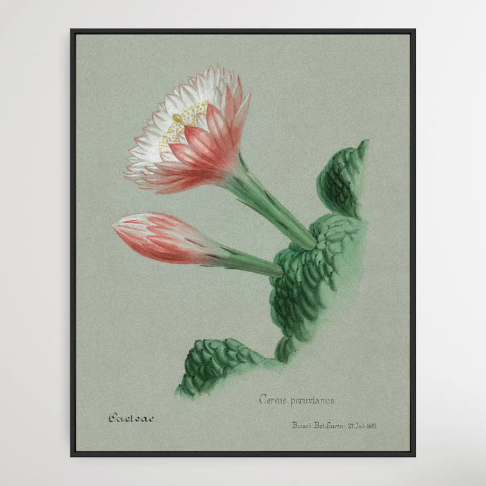 Peruvian Apple Cactus, Wall Art, Ozark Home 