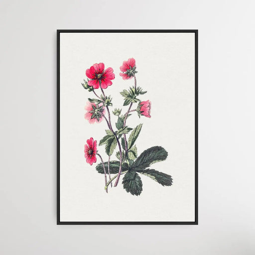 Pink Cinquefoil, Wall Art, Ozark Home 