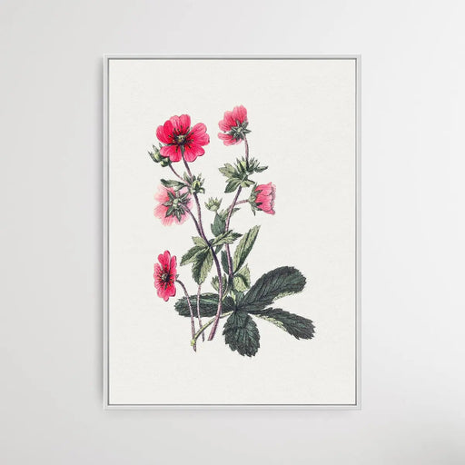 Pink Cinquefoil, Wall Art, Ozark Home 