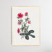 Pink Cinquefoil, Wall Art, Ozark Home 