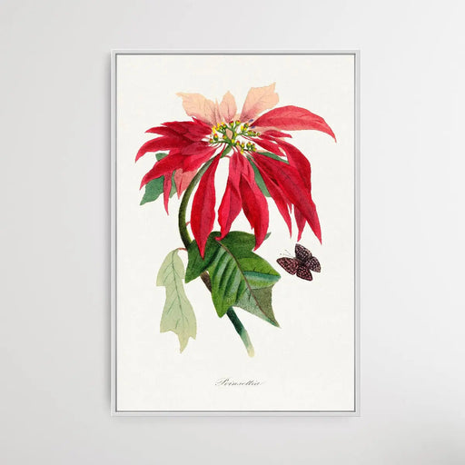 Poinsettia by Paul Gervais, Wall Art, Ozark Home 