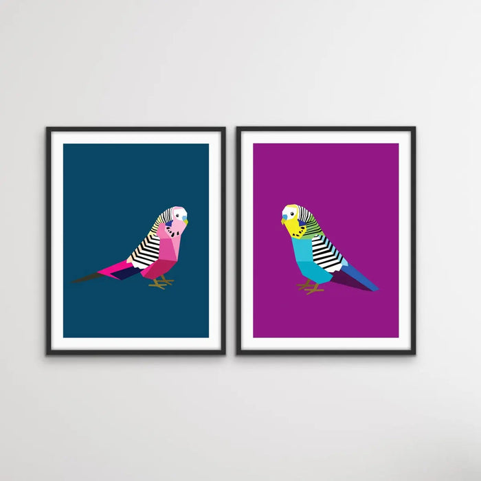 Poly Budgies Two Piece Set - Colourful Budgerigar Print Set, Wall Art, Ozark Home 