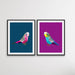 Poly Budgies Two Piece Set - Colourful Budgerigar Print Set, Wall Art, Ozark Home 