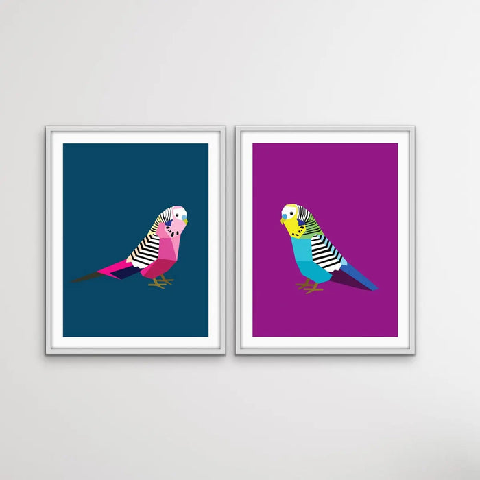 Poly Budgies Two Piece Set - Colourful Budgerigar Print Set, Wall Art, Ozark Home 