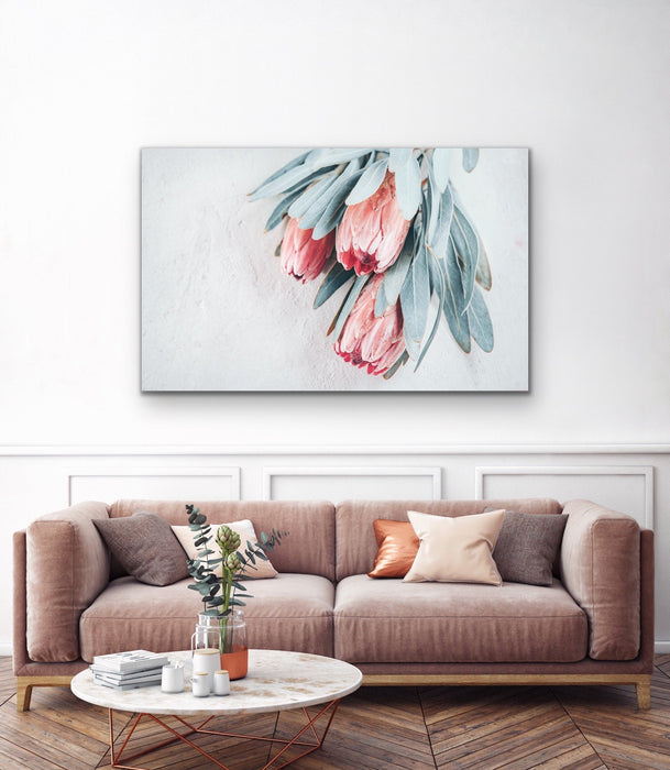 Protea Bunch - Australian Native Eucalyptus Art Print Stretched Canvas Wall Art