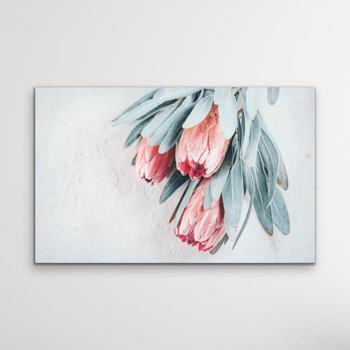 Protea Bunch - Australian Native Eucalyptus Art Print Stretched Canvas Wall Art