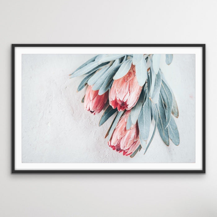 Protea Bunch - Australian Native Eucalyptus Art Print Stretched Canvas Wall Art