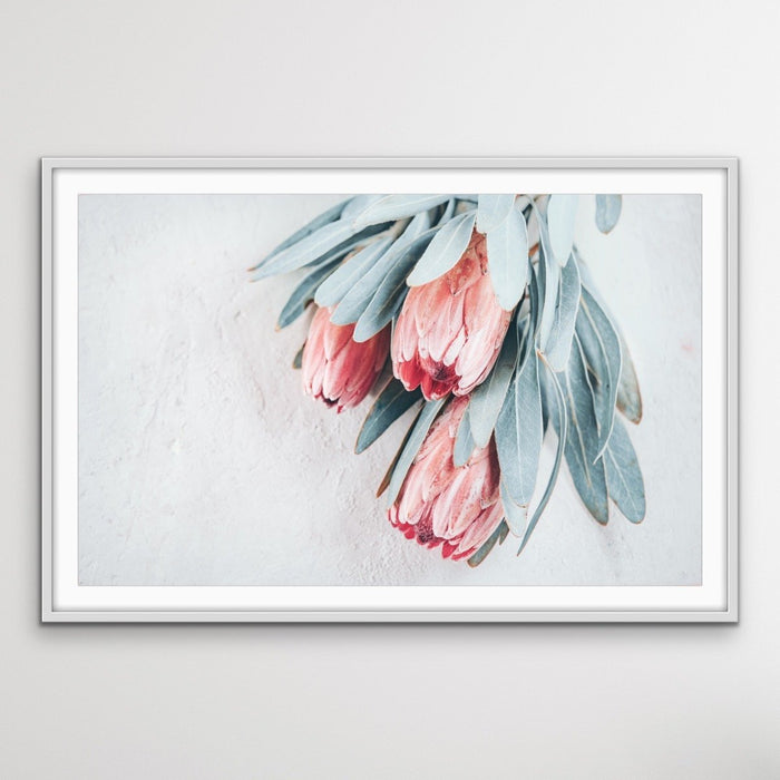 Protea Bunch - Australian Native Eucalyptus Art Print Stretched Canvas Wall Art