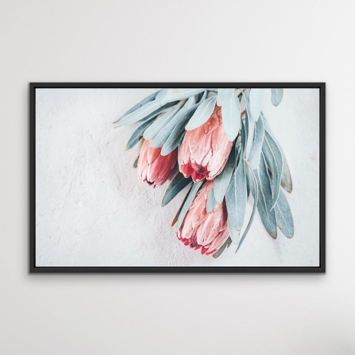 Protea Bunch - Australian Native Eucalyptus Art Print Stretched Canvas Wall Art