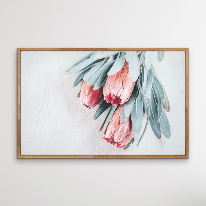 Protea Bunch - Australian Native Eucalyptus Art Print Stretched Canvas Wall Art