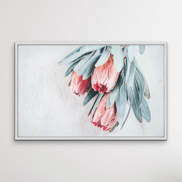 Protea Bunch - Australian Native Eucalyptus Art Print Stretched Canvas Wall Art