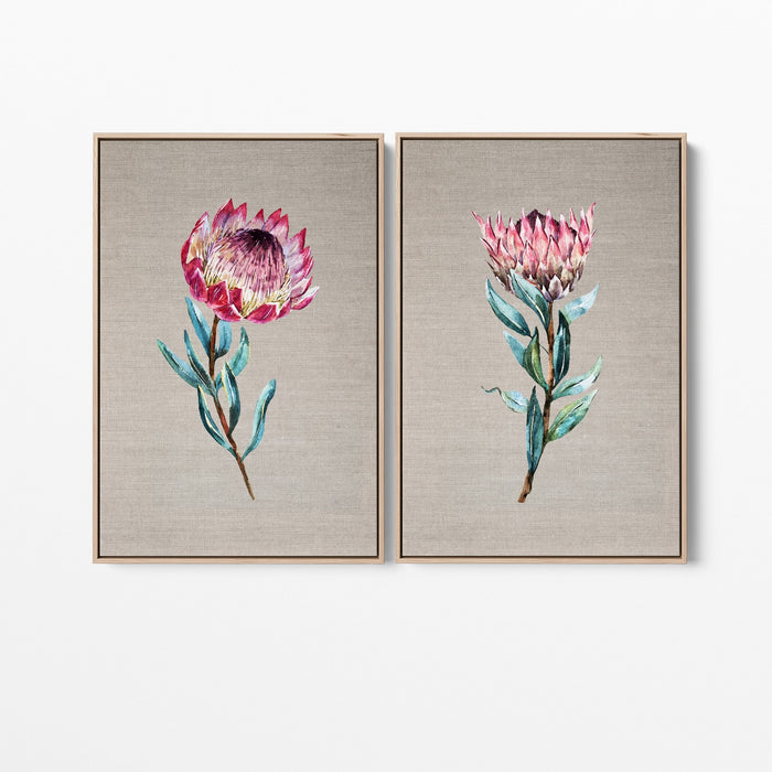 Protea Pair - Two Piece Stretched Canvas Australian Wildlife Framed Wall Art, Wall Art, Ozark Home 