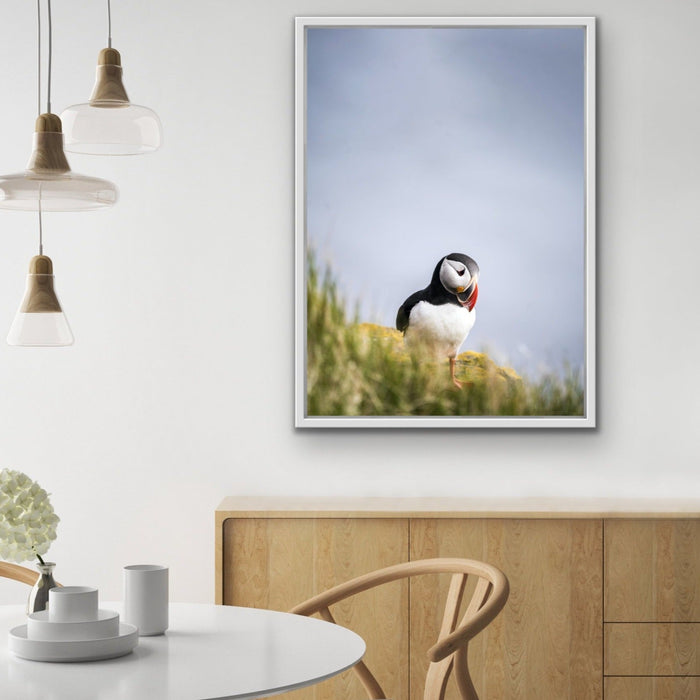 Puffin But Love - Puffin Photographic Stretched Canvas Wall Art Print