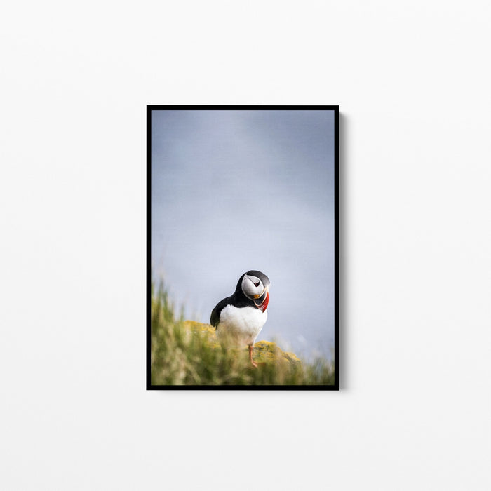 Puffin But Love - Puffin Photographic Stretched Canvas Wall Art Print