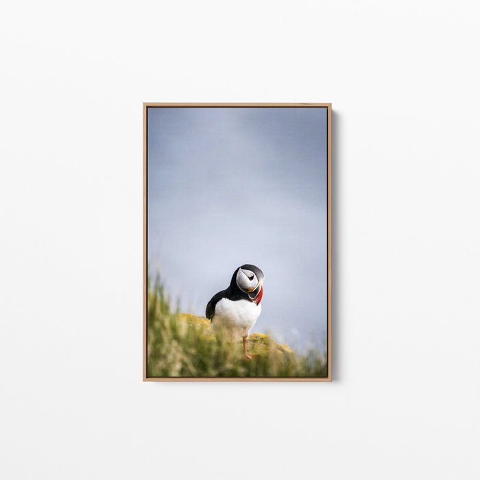 Puffin But Love - Puffin Photographic Stretched Canvas Wall Art Print