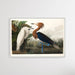 Purple Heron by John James Audubon, Wall Art, Ozark Home 