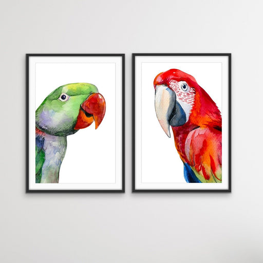 Red and Green Parrots - Watercolour Artwork Print Set of Red and Green Parrots, Wall Art, Ozark Home 