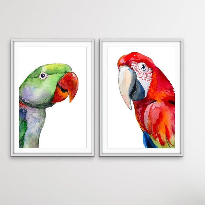 Red and Green Parrots - Watercolour Artwork Print Set of Red and Green Parrots, Wall Art, Ozark Home 