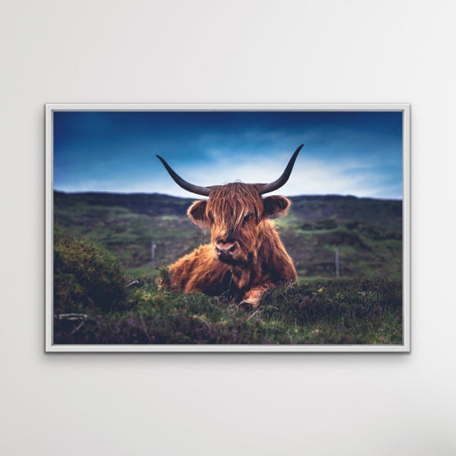 Resting Highlander - Highland Cow Landscape Framed Canvas Print Wall Art Print, Wall Art, Ozark Home 