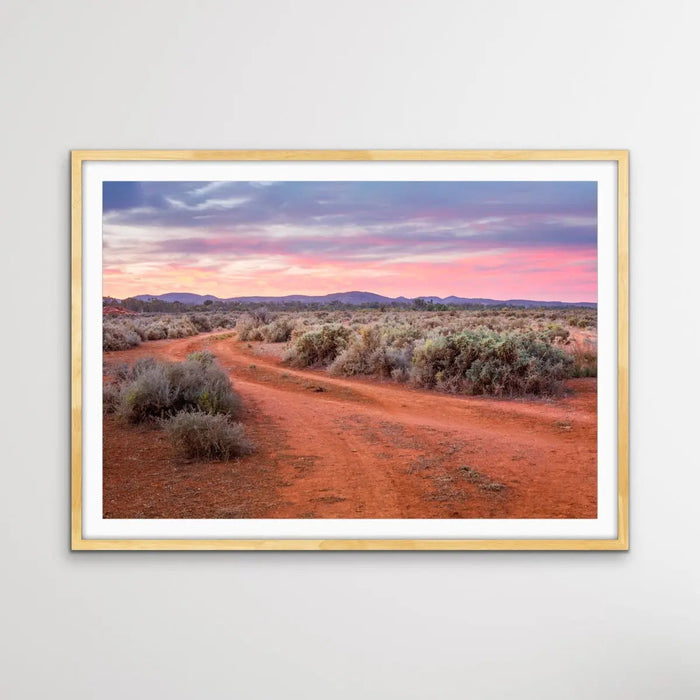 Saltbush - Australian Outback Landscape Photographic Print