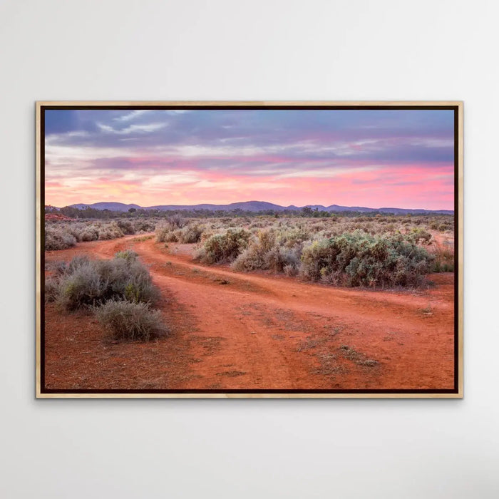 Saltbush - Australian Outback Landscape Photographic Print