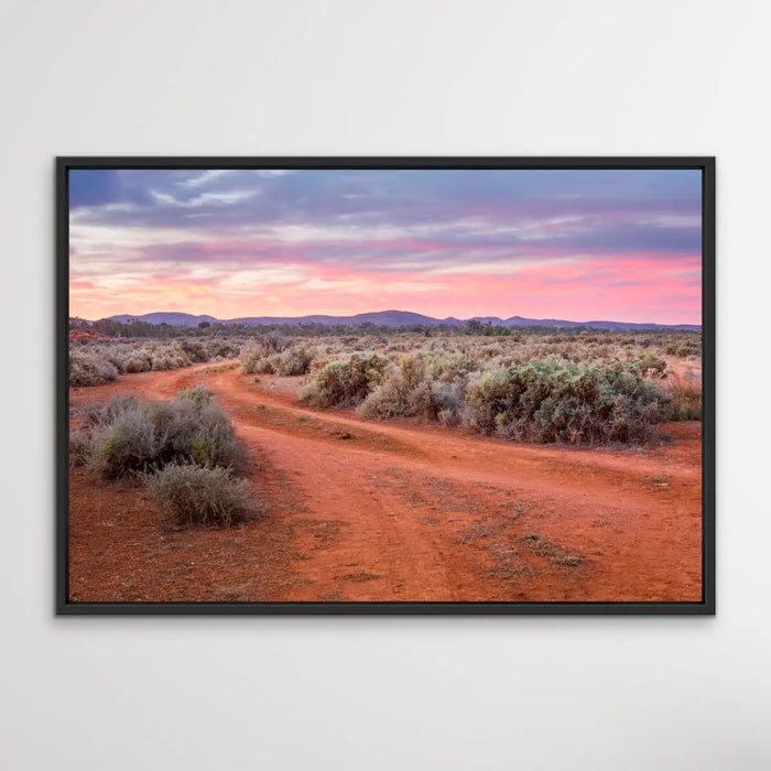 Saltbush - Australian Outback Landscape Photographic Print