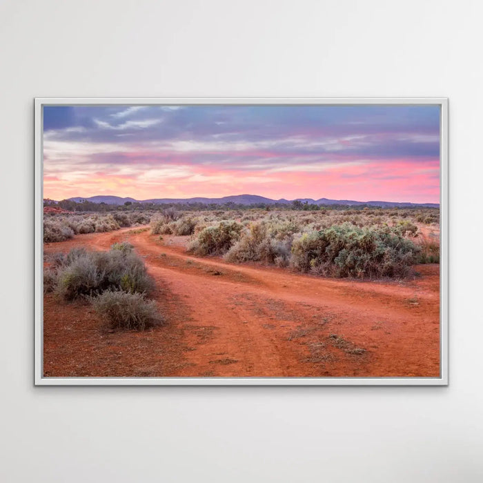 Saltbush - Australian Outback Landscape Photographic Print