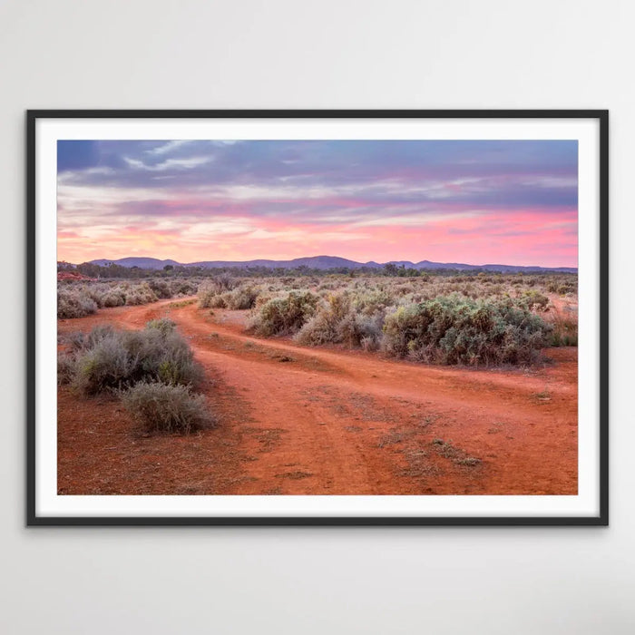 Saltbush - Australian Outback Landscape Photographic Print