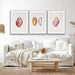 She Sells Seashells - Three Piece Shell Print Set For Coastal Style Homes, Wall Art, Ozark Home 