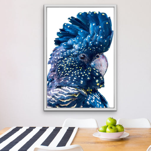 Single Black Cockatoo - Black Cockatoo Wall Art Print  Stretched Canvas Wall Art, Wall Art, Ozark Home 