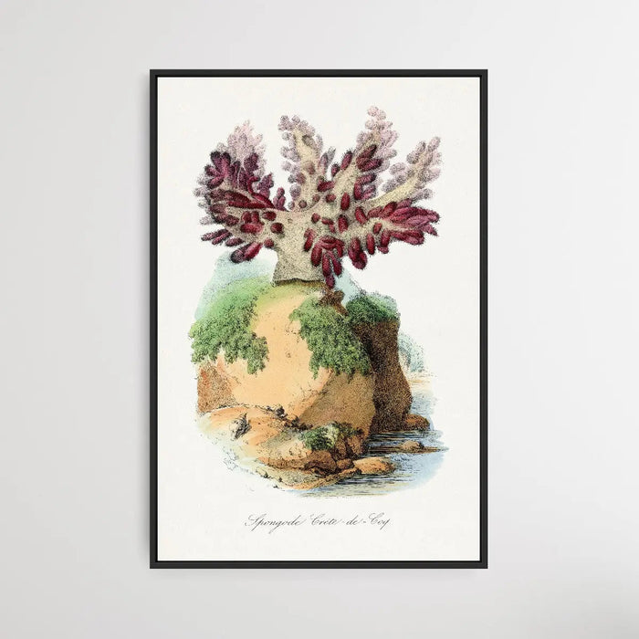 Spongode Coral by Paul Gervais, Wall Art, Ozark Home 