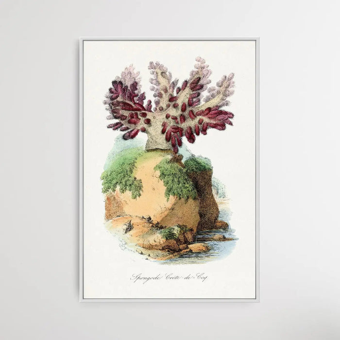 Spongode Coral by Paul Gervais, Wall Art, Ozark Home 