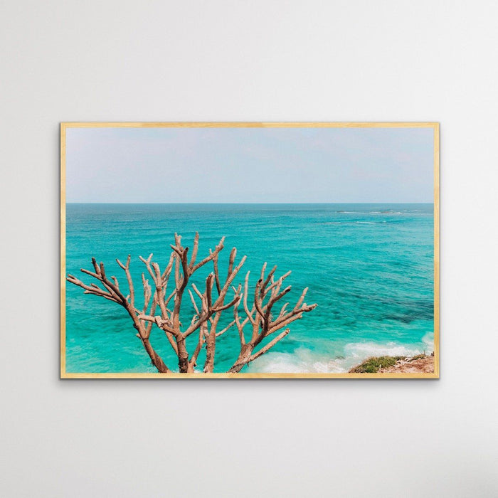 Stradbroke Island - Queensland Beach Art or Canvas Prints, Wall Art, Ozark Home 